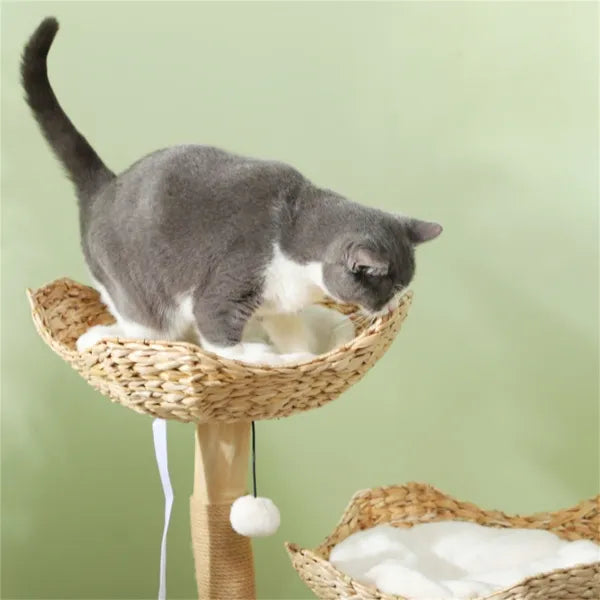 🐱 Tall Cat Tree Tower – Premium Climbing Frame with Condo & Perches
