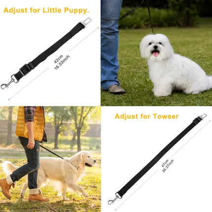 🐶 Adjustable Dog Seat Belt Leash (2-Pack) – Car Safety Harness Lead