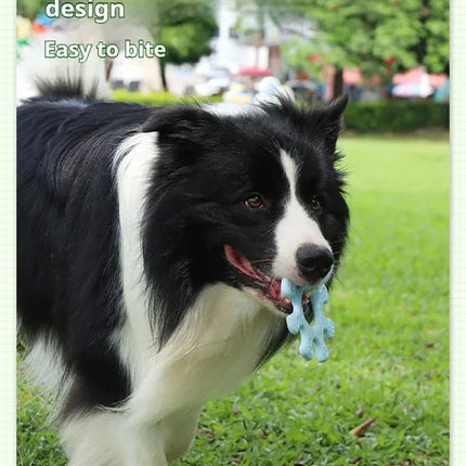 🐶 Interactive Flywheel Dog Toy – Spinning Chase Toy for Active Pups