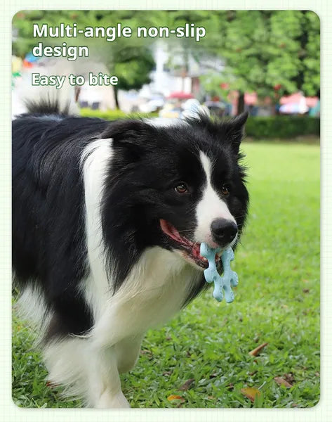 🐶 Interactive Flywheel Dog Toy – Spinning Chase Toy for Active Pups
