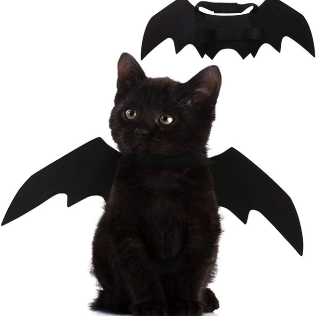 🐱 Cat Bat Wings Costume – Lightweight Halloween Accessory