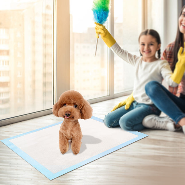 🐶 Dog Training Pads 50-Pack – Super Absorbent Puppy Pee Pads