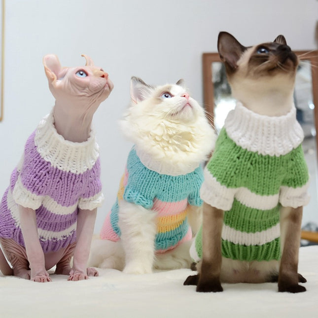 🐱 Cat Warm Sweater – Cozy Knit for Hairless & Short-Haired Cats