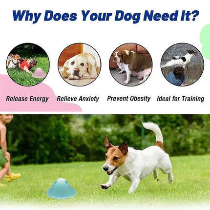 🐶 Hidden Treats Chew Toy – Interactive Brain Game for Dogs