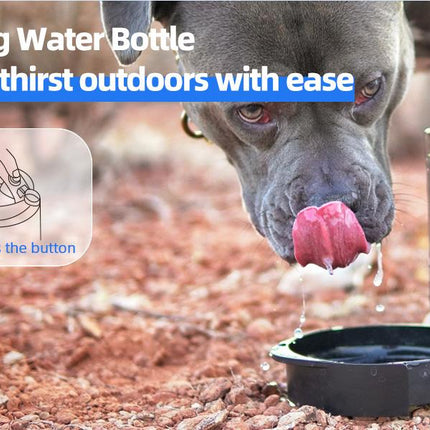 🐶 Lassot Portable Pull-out Water Bowl For Dogs, Large Capacity, Perfect For Camping, Hiking, Beach Trips, Road Trips, And Park Walks.