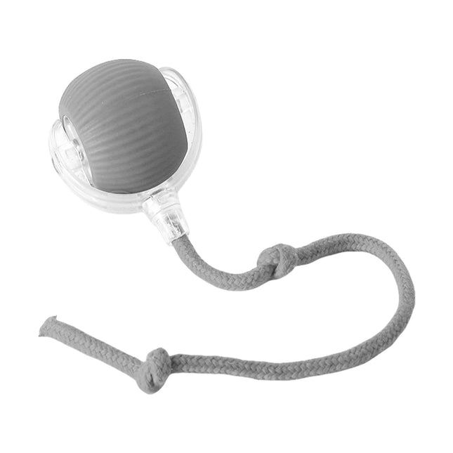 🐱 Interactive Rolling Cat Ball