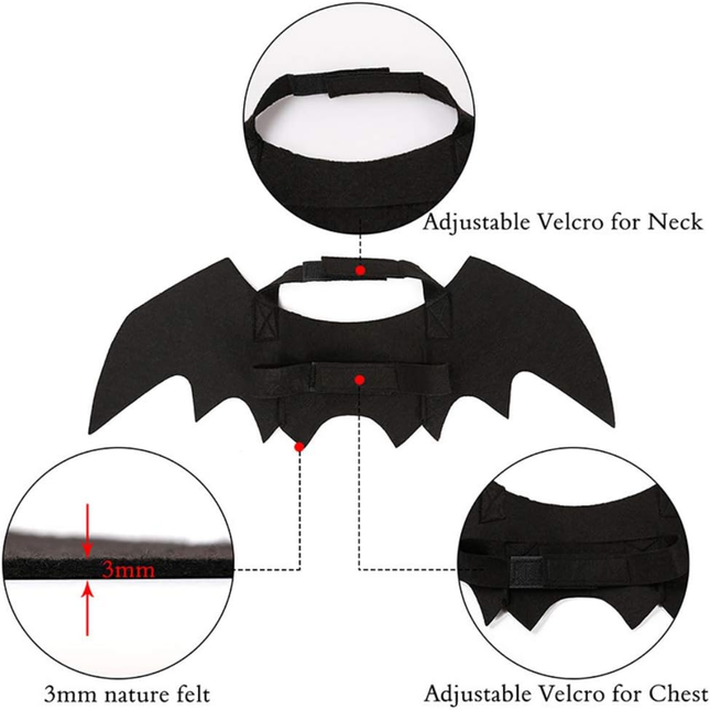 🐱 Cat Bat Wings Costume – Lightweight Halloween Accessory