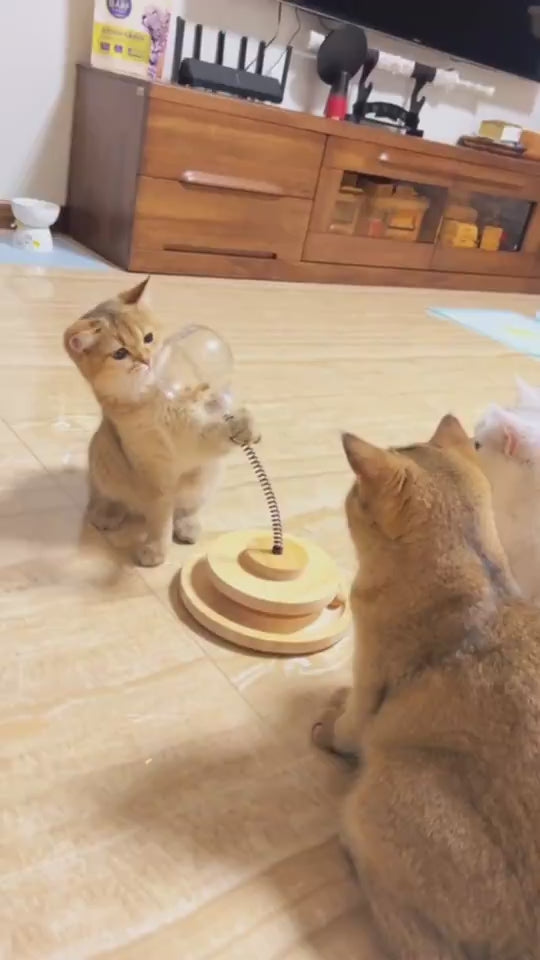 🐱 Cat Treat Dispenser Ball – Catnip Toy & Tre