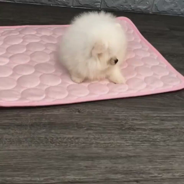 🐶🐱 Pet Cooling Mat – Self-Cooling Ice Pad for